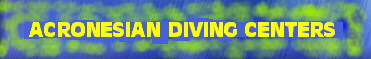 acrdc1.jpg (13233 Byte)